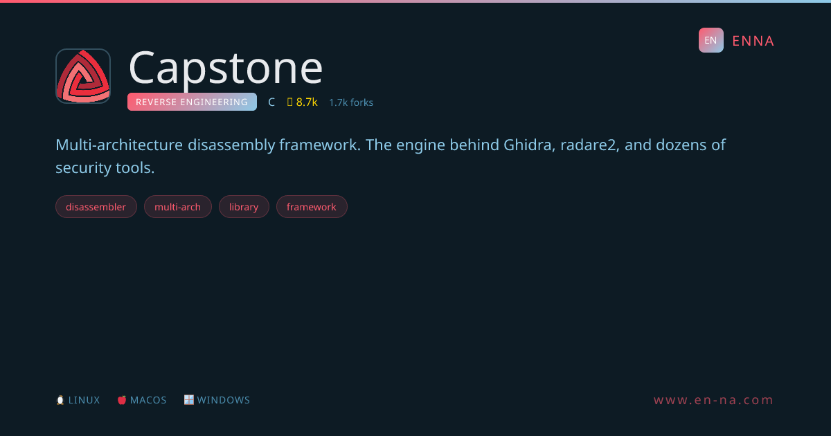 Capstone - Reverse Engineering - ENNA